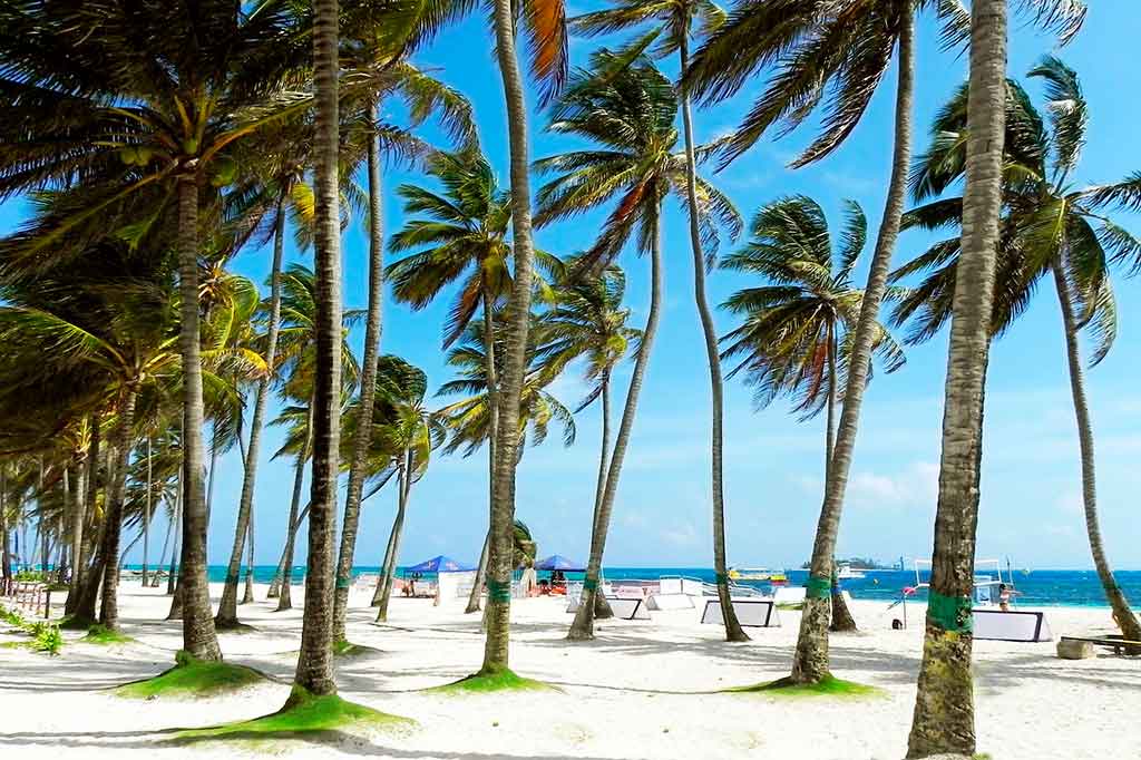 San Andrés: Dicas de Compras e Gastronomia na Ilha