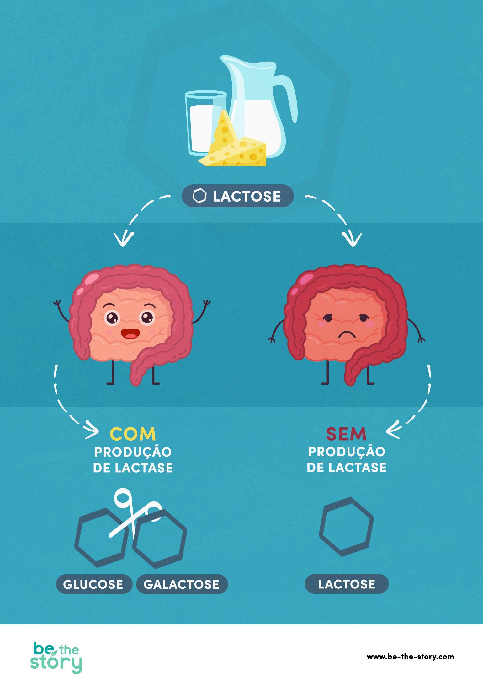 intolerancia lactose