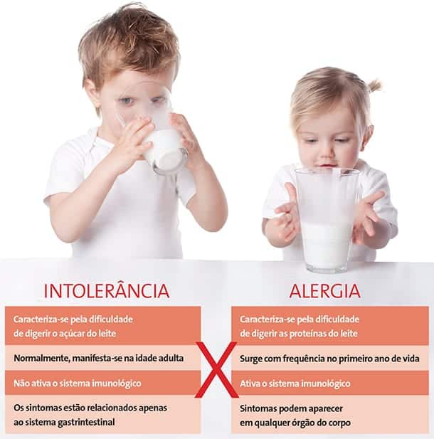 Guia Completo de Alimentos Sem Lactose para uma Dieta Saudável