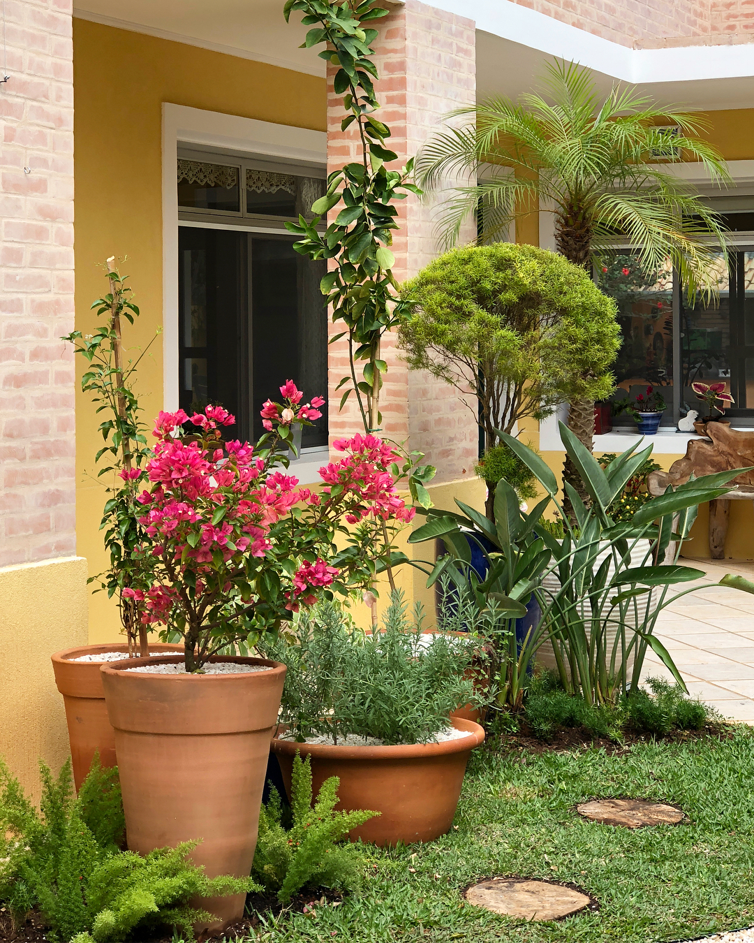 5 ideias de títulos:
1. Transforme seu quintal: Guia completo para um jardim externo deslumbrante.
2. Plantas resistentes e dicas de decoração para um jardim externo perfeito.
3. Jardim econômico: Como criar um oásis verde sem gastar muito.
4. Soluções inteligentes para jardins pequenos: Maximizando o espaço com verde.
5. Paisagismo sustentável: Dicas de DIY e reciclagem para seu jardim.