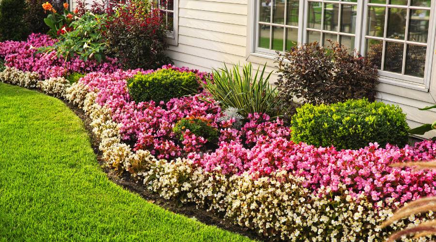 jardim frontal simples