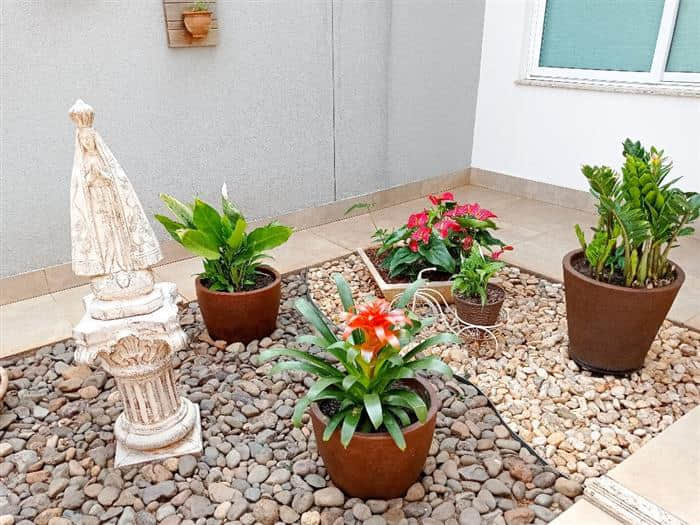 decoração de entrada com plantas