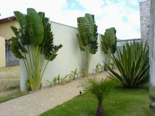 jardim de baixa manutenção