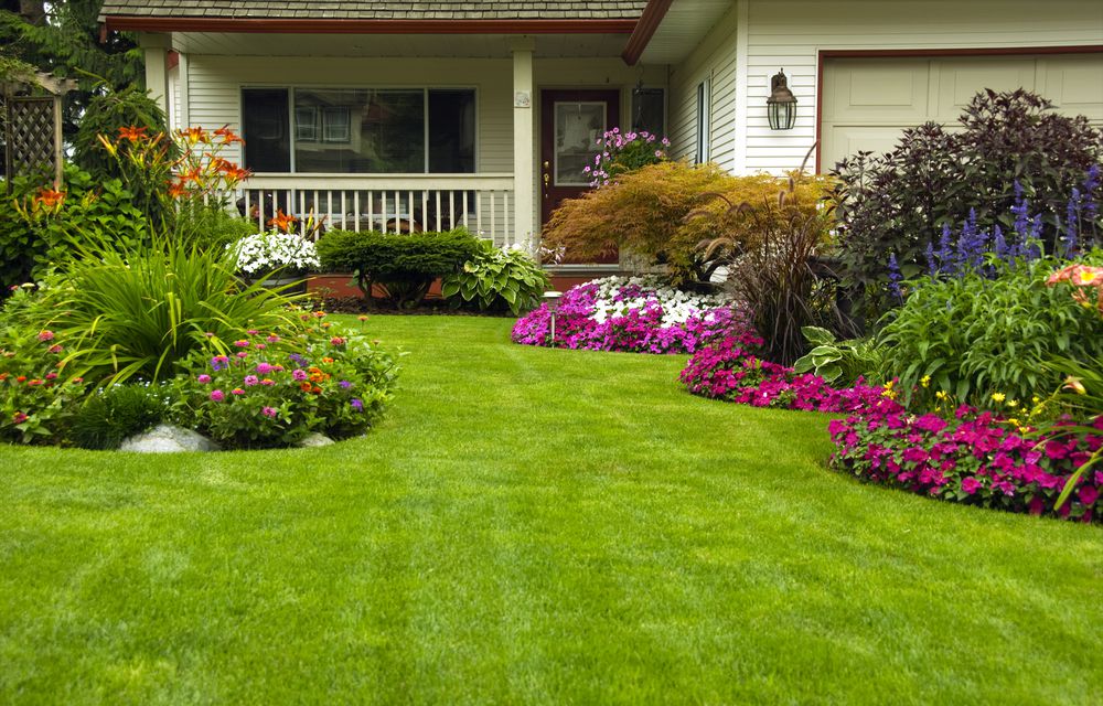 plantas para fachada de casa