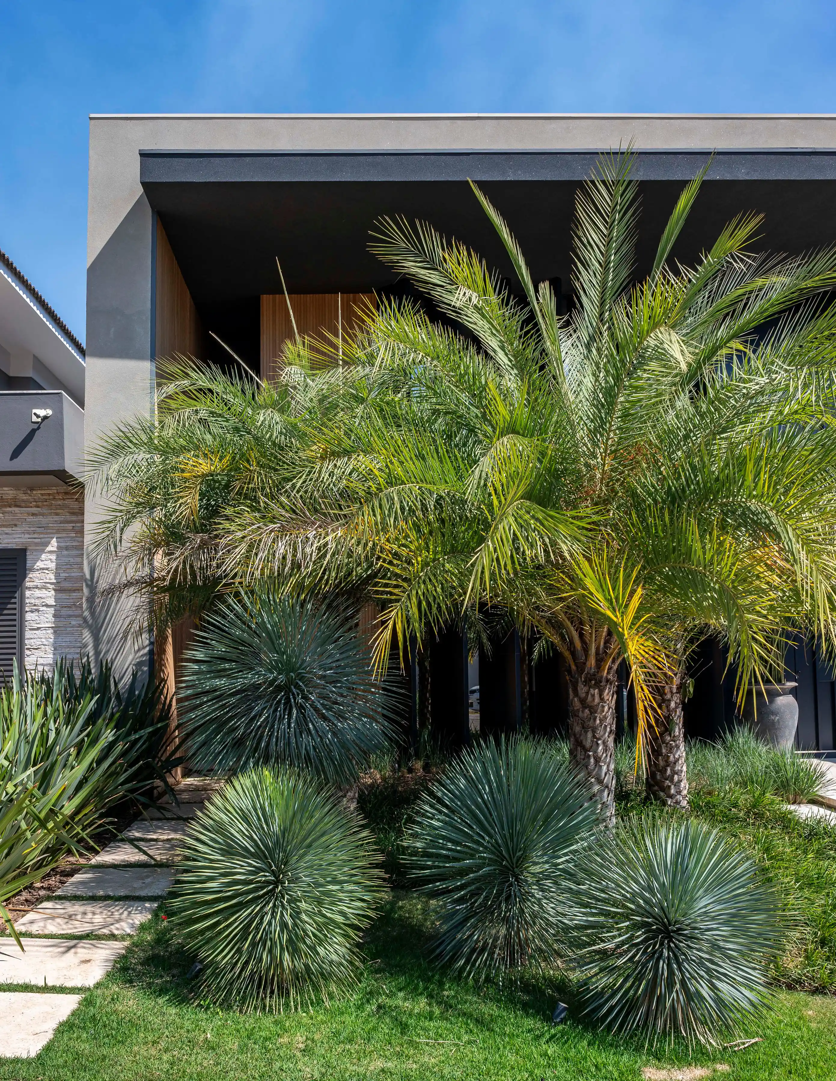 jardim de baixa manutenção