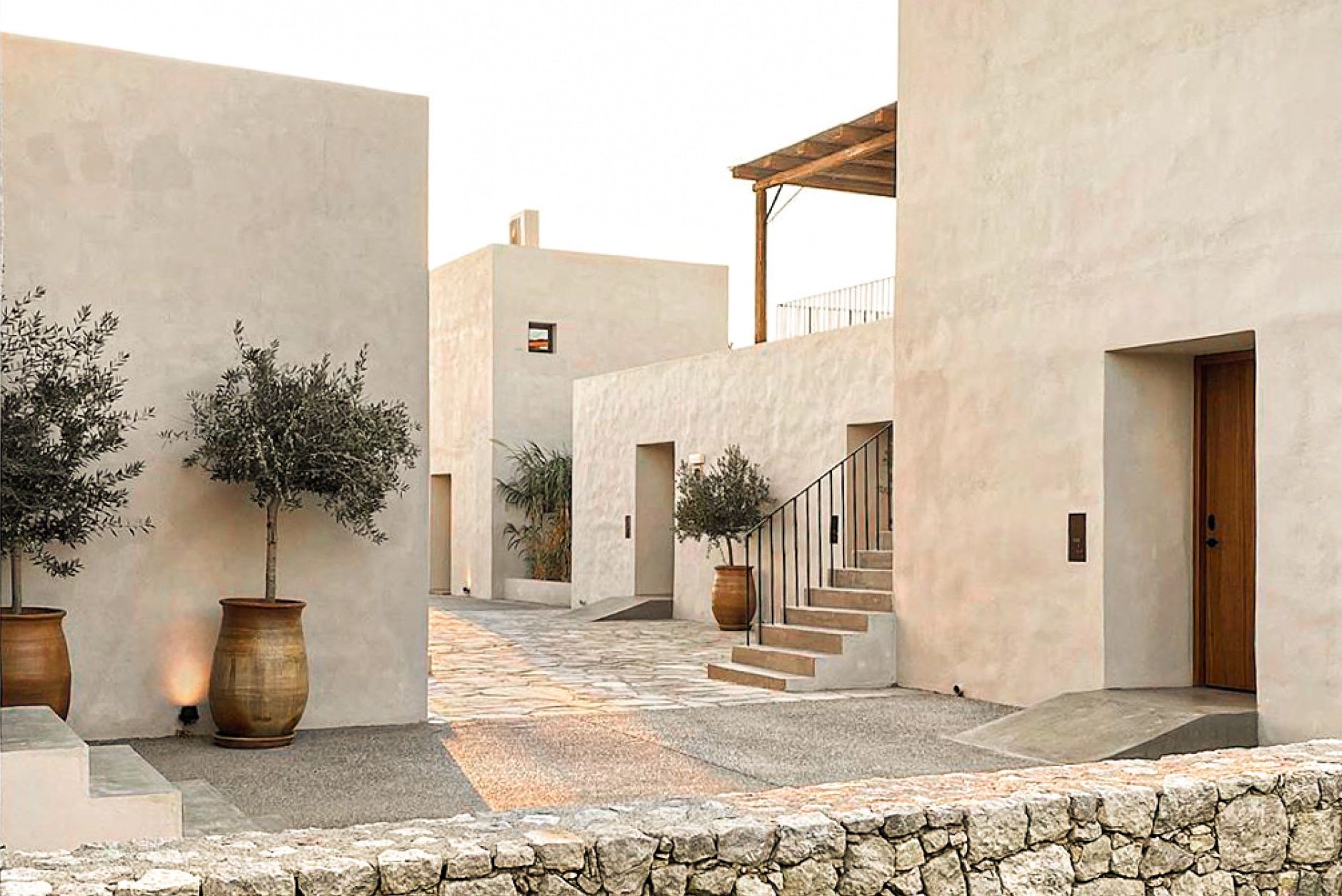 como plantar oliveira em jardim mediterrâneo