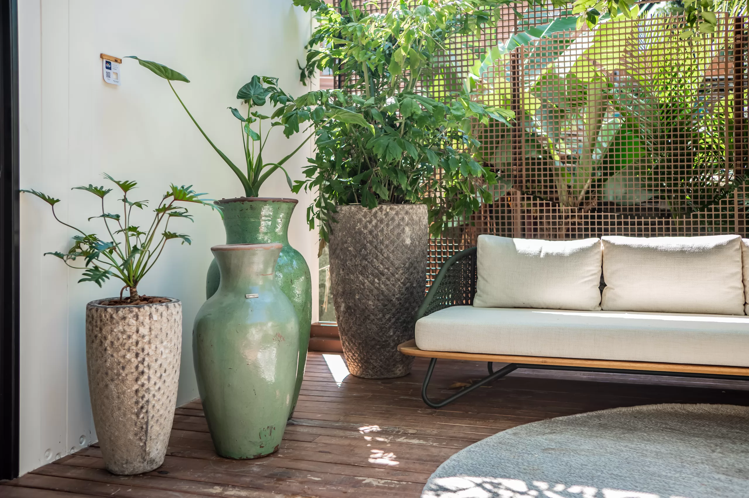 5 Plantas Esculturais para um Jardim Minimalista Impactante