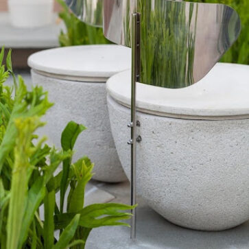 5 Plantas Esculturais para um Jardim Minimalista Impactante