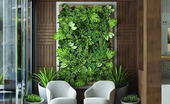 erros comuns ao montar jardim vertical na varanda