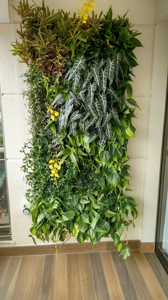 jardim vertical natural vs artificial qual escolher