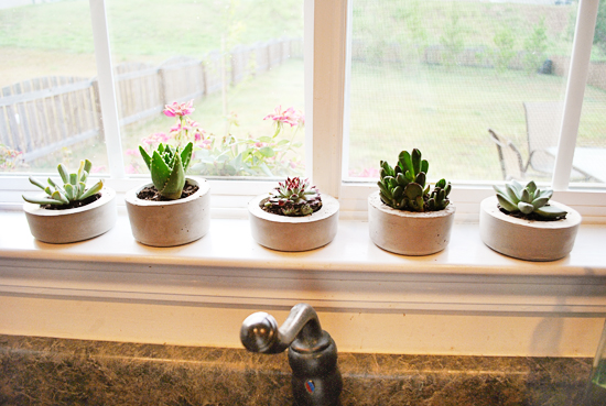 As Melhores Plantas Pendentes para Decorar seu Apartamento