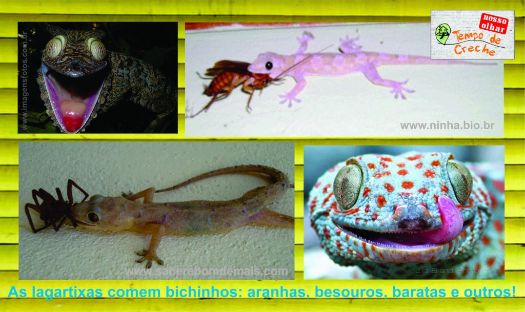 O Significado Espiritual da Lagartixa: Proteção e Renovação