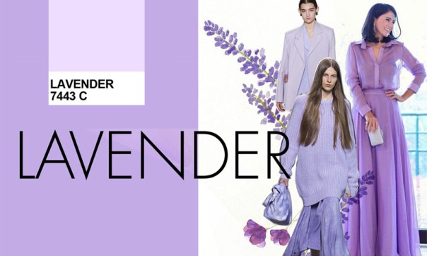 lavanda espiritualidade
