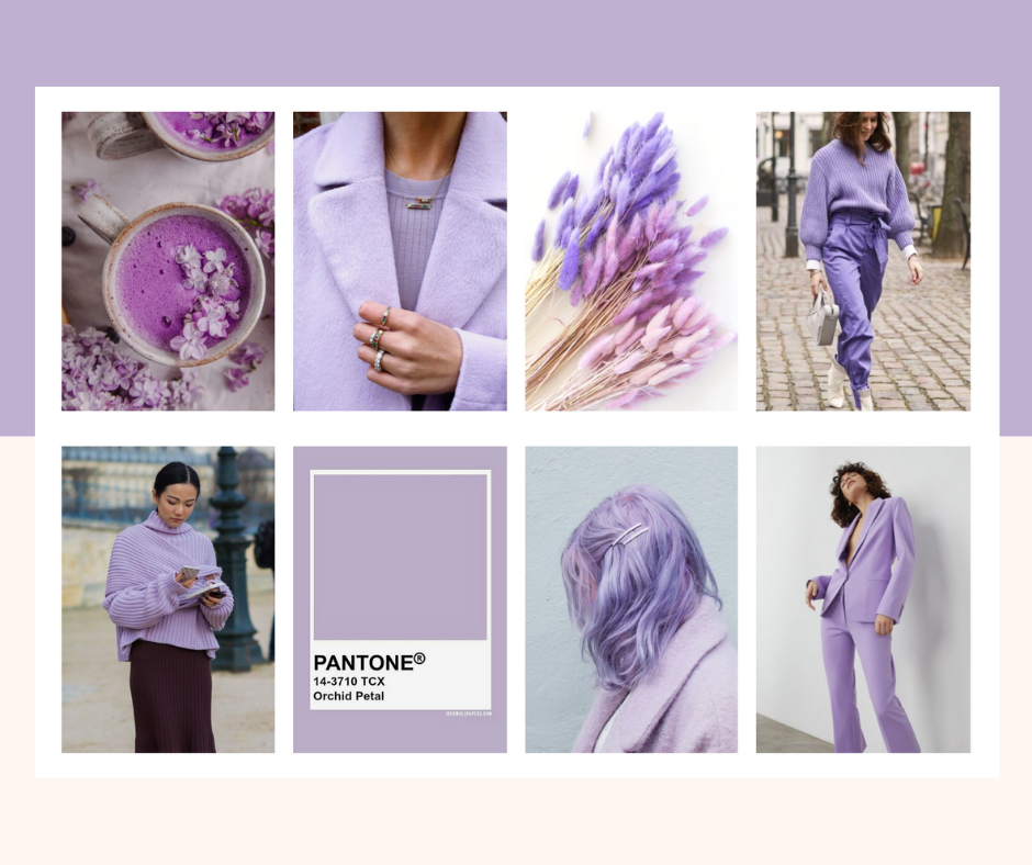 lavanda moda