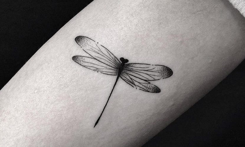 5 ideias de títulos para posts sobre tatuagem de libélula:
1. Tatuagem de Libélula: Desvende os Significados Profundos por Trás Dessa Arte Corporal
2. Do Minimalismo ao Realismo: Os Estilos de Tatuagem de Libélula Que Você Precisa Conhecer
3. Libélula na Pele: Um Símbolo de Transformação e Liberdade para Sua Próxima Tatuagem
4. Onde Fazer Sua Tatuagem de Libélula: Sugestões de Locais e Dicas de Cuidados
5. Tatuagem de Libélula: Inspirações Incríveis para Homens e Mulheres
