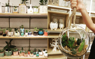 Dicas de decoração para apartamentos pequenos