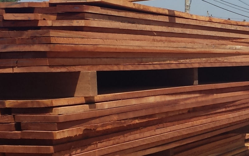 Como Aumentar a Vida Útil da Sua Madeira Angelim em Ambientes Úmidos