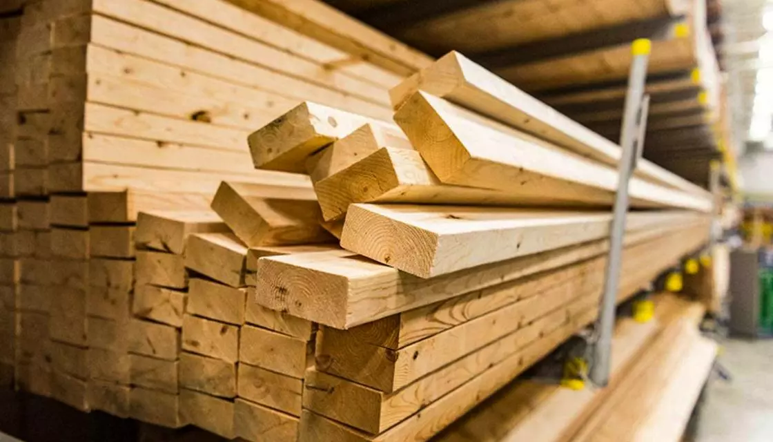 Pinus Tratado vs. Pinus Natural: Qual Escolher para Seu Projeto?