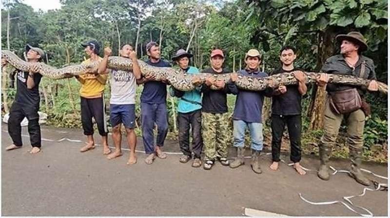 Como a Descoberta do DNA Revolucionou a Medicina