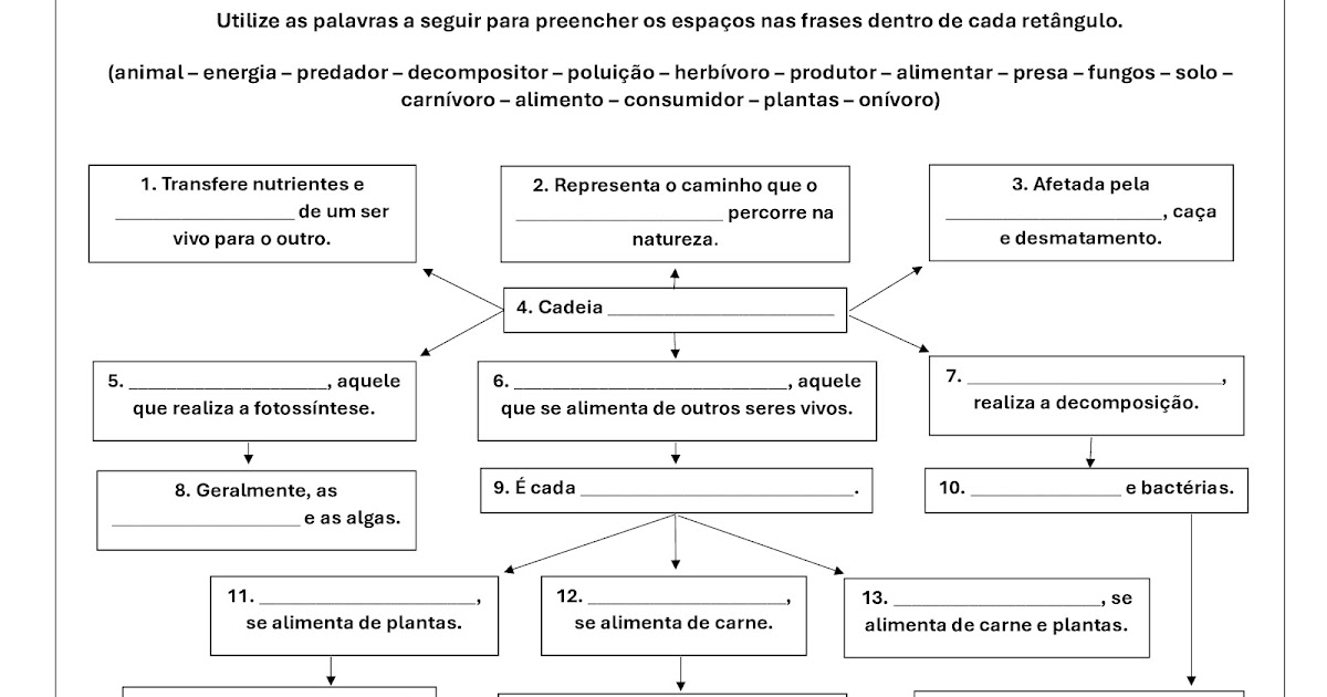conceito de cadeia alimentar