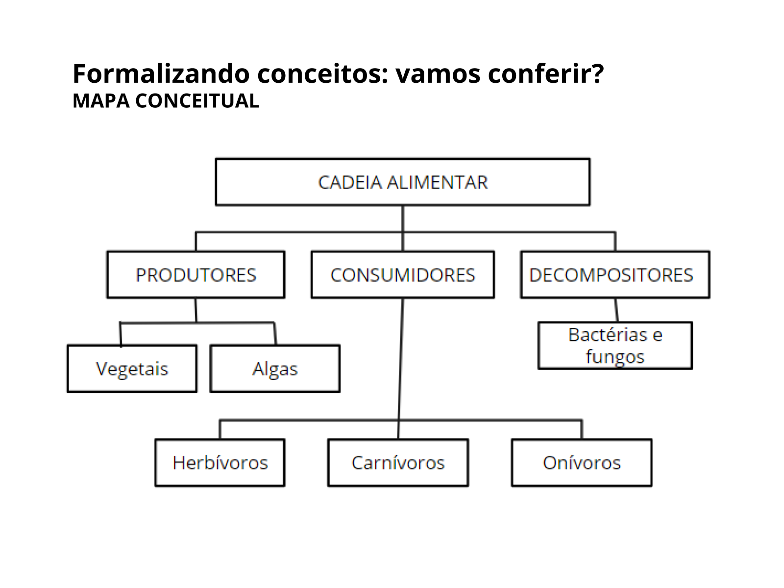 transferência de energia na natureza