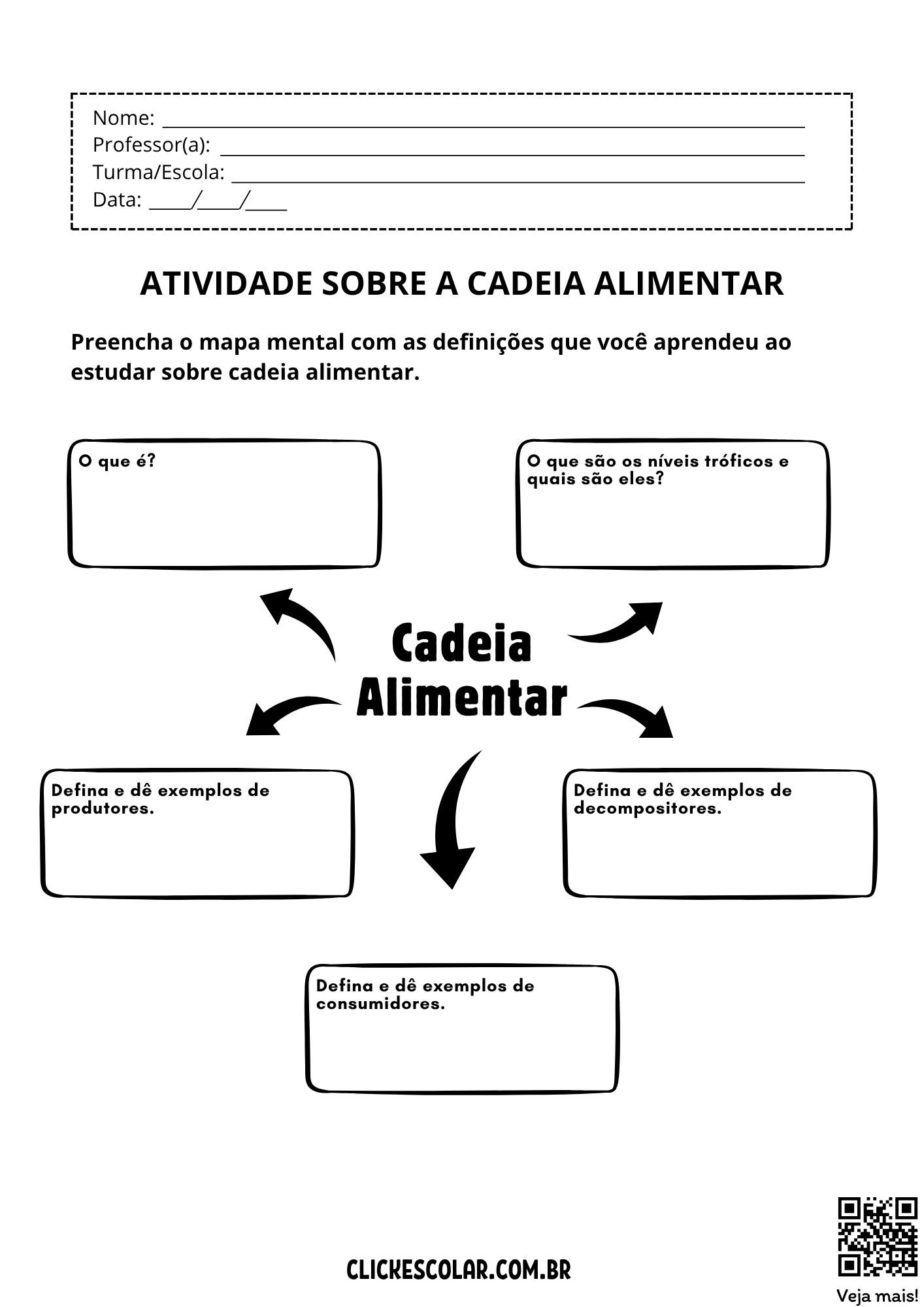 fluxo de energia ecossistema