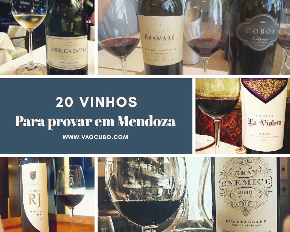 melhores vinhos de mendoza