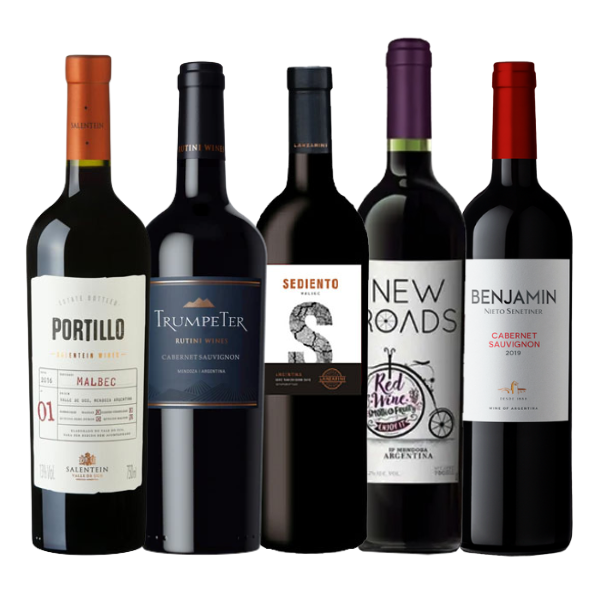 Guia Completo: As Melhores Vinícolas para Visitar em Mendoza em 2025