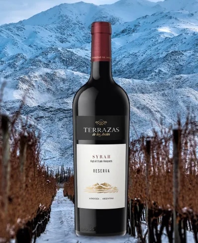 melhores vinhos de mendoza