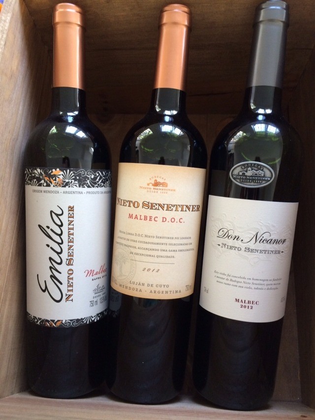 Malbec de Mendoza: Entenda as Diferenças de Estilo por Sub-região