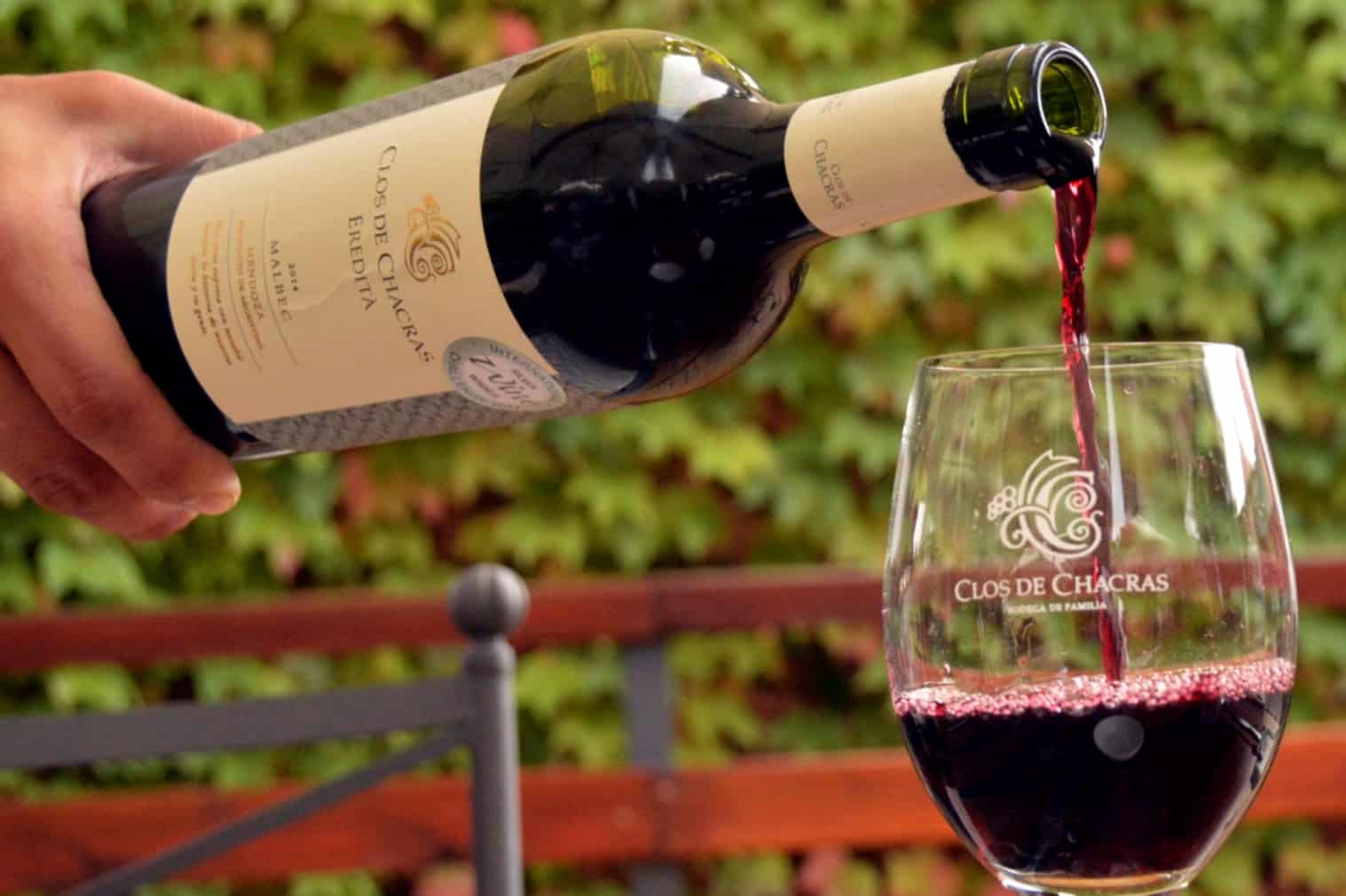 Além do Malbec: Outras Variedades de Vinhos de Destaque em Mendoza