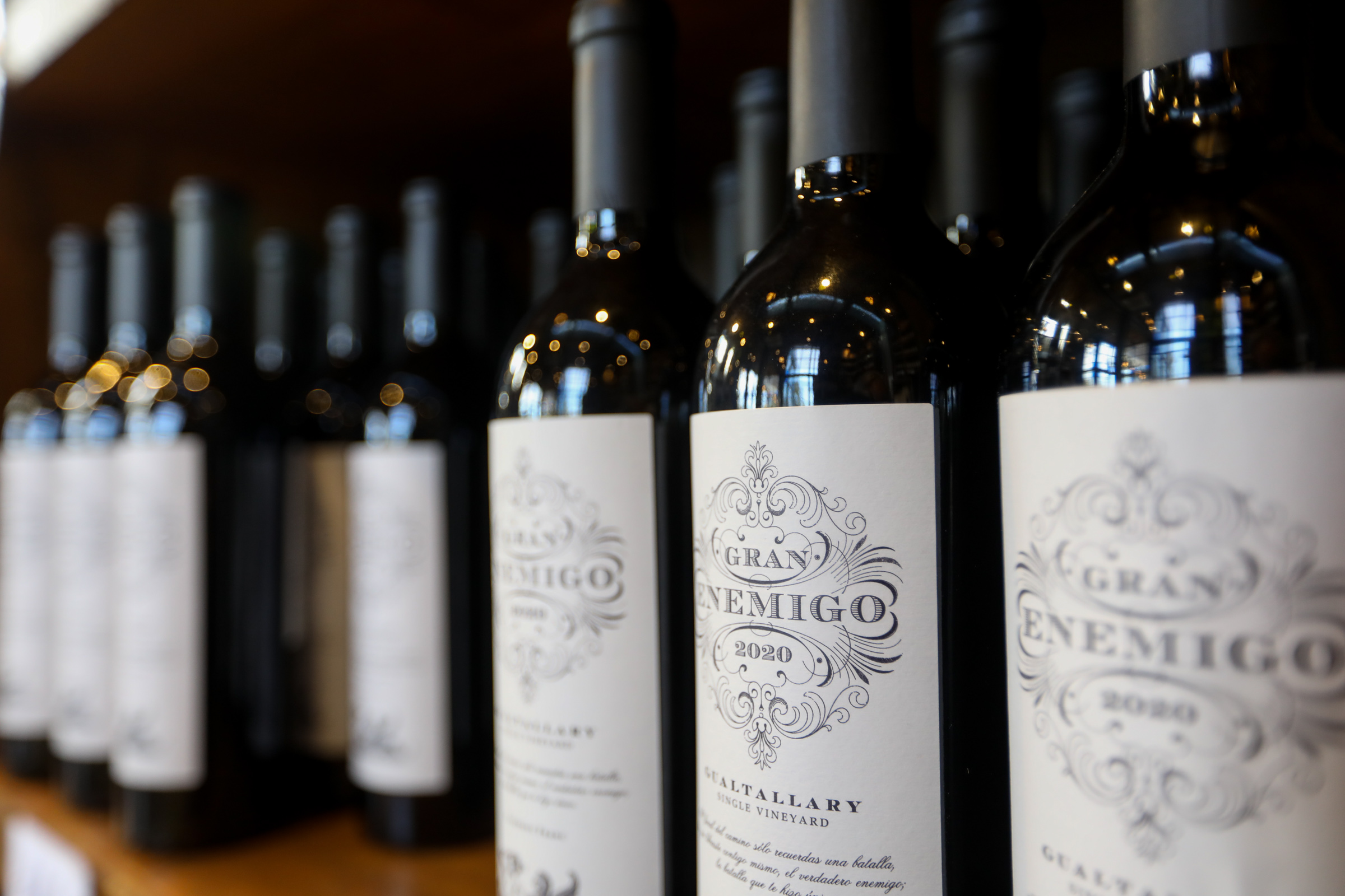 Malbec de Mendoza: Entenda as Diferenças de Estilo por Sub-região