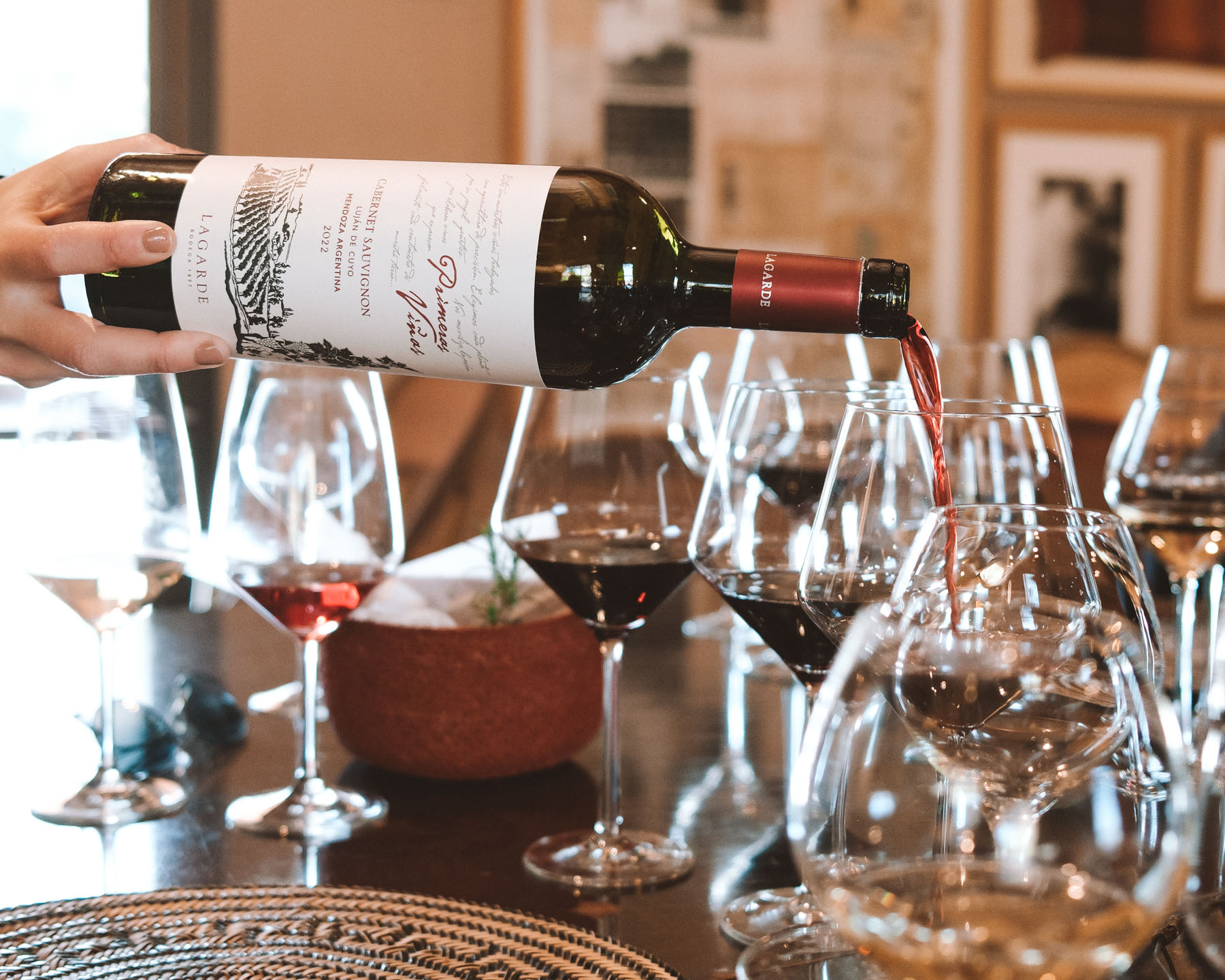 Além do Malbec: Outras Variedades de Vinhos de Destaque em Mendoza