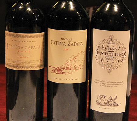 Além do Malbec: Outras Variedades de Vinhos de Destaque em Mendoza