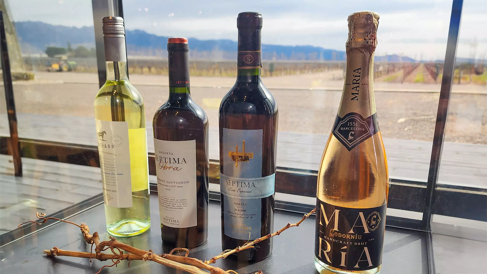 Além do Malbec: Outras Variedades de Vinhos de Destaque em Mendoza