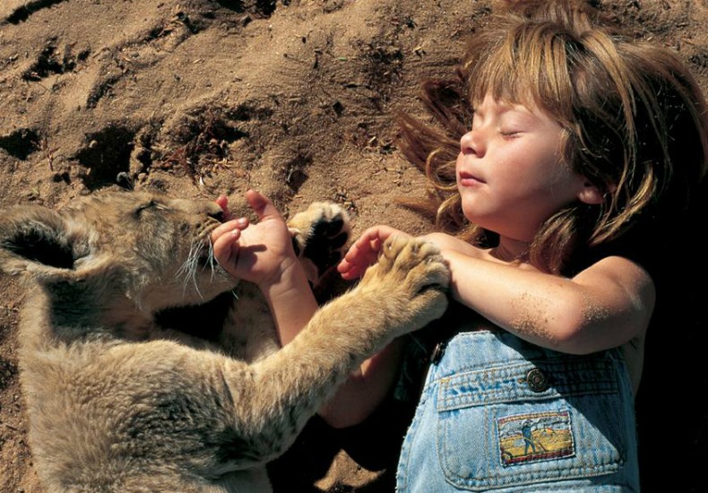 Análise Profunda: O que é a Tox em Meninas Selvagens?