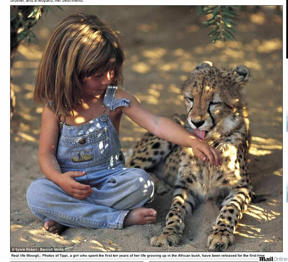 Comparativo: Meninas Selvagens vs. Outros Livros de Body Horror