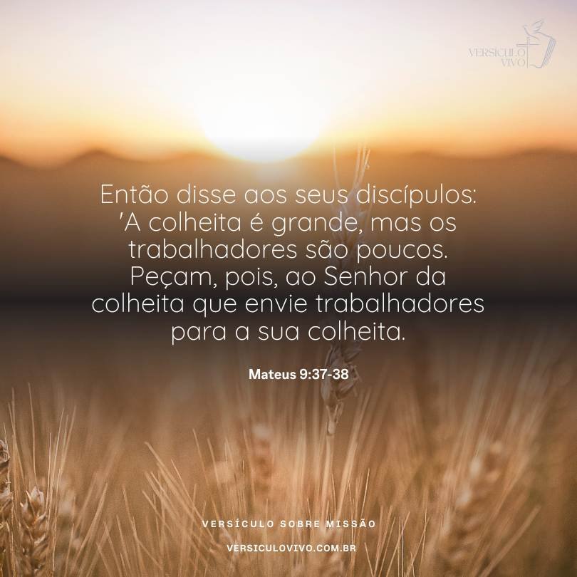 Como Encontrar Paz Interior Através da Bíblia: Versículos Essenciais