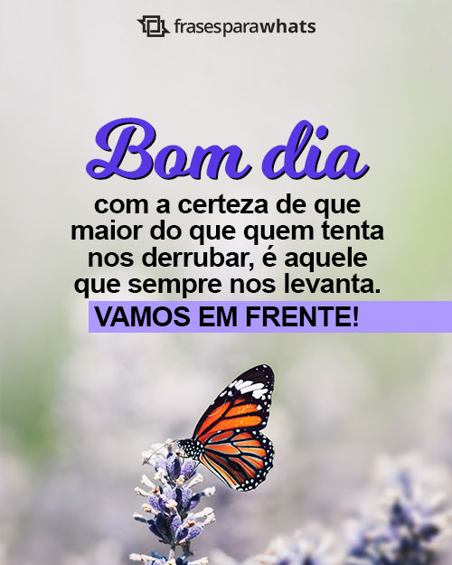 frases de bom dia para status do whatsapp