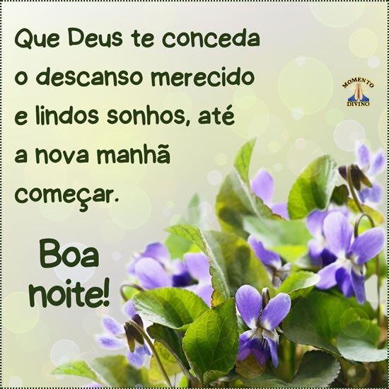 mensagem de boa noite engraçada