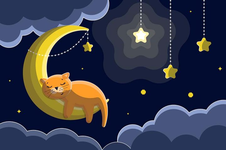 Frases de boa noite para acalmar a mente e ter bons sonhos