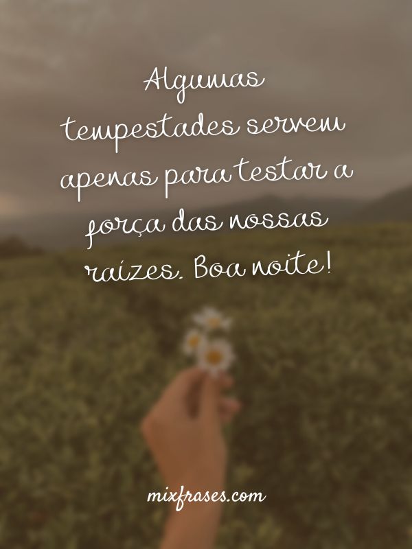 status de boa noite reflexivo