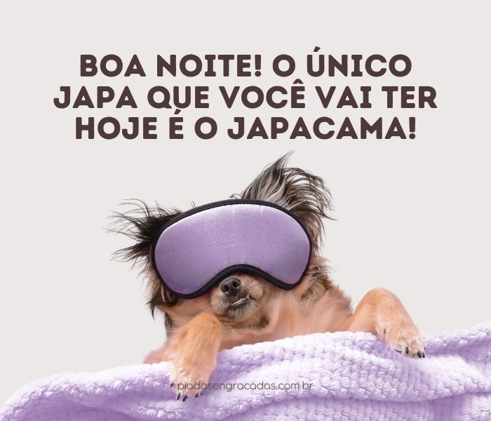 frases de boa noite divertidas