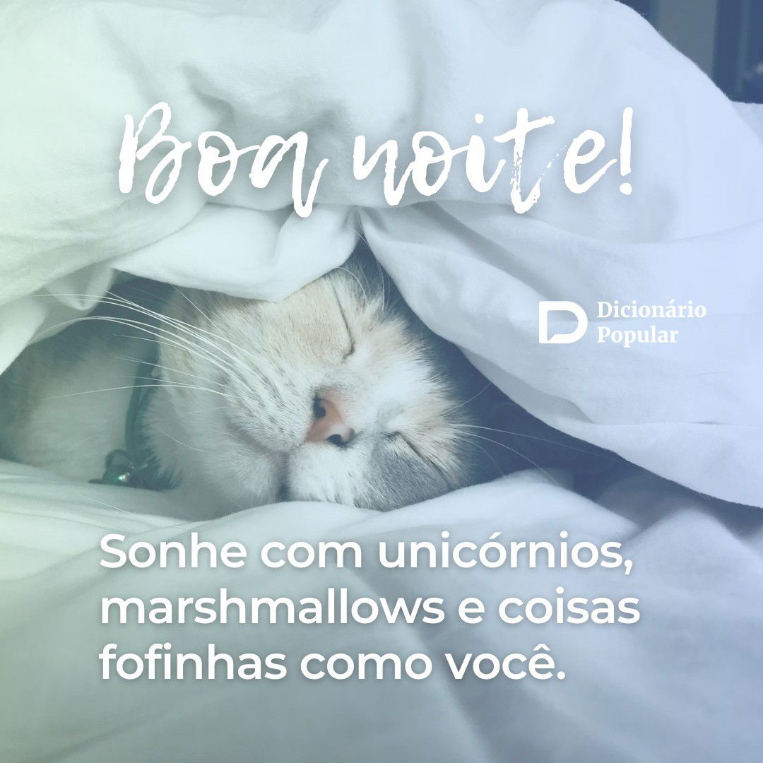 textos de boa noite com humor