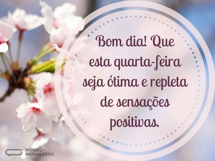 frases de quarta-feira