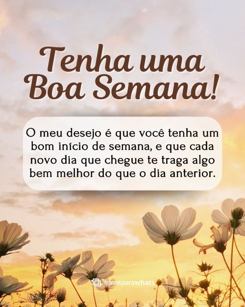 frases de motivação semanal