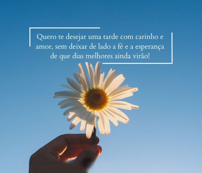 Onde Encontrar GIFs Animados de Boa Tarde para Alegrar o Dia