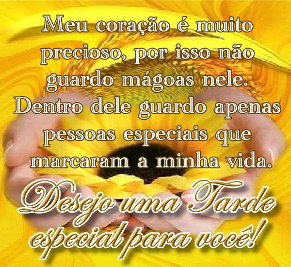 As Melhores Frases de Boa Tarde para Status do WhatsApp