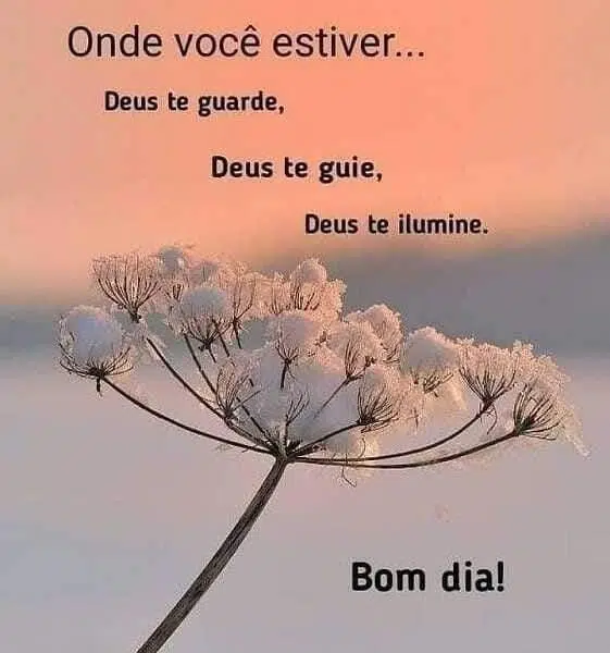As Melhores Frases de Bom Dia para Começar a Semana