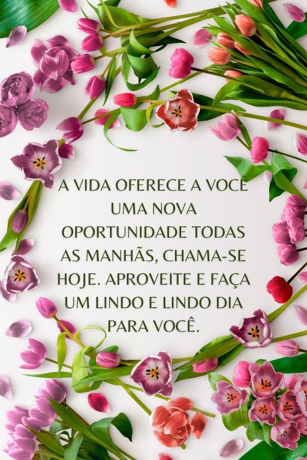 Bom Dia com Humor: Frases Engraçadas para Alegrar o Dia